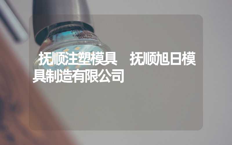 抚顺注塑模具 抚顺旭日模具制造有限公司